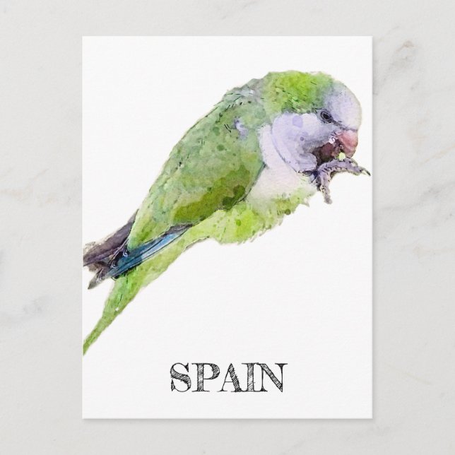 Green parrot watercolor painting postcard (Front)