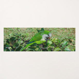 Green parrot yoga mat