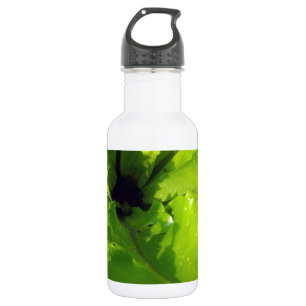 Green_Passion_Drops,_ 532 Ml Water Bottle