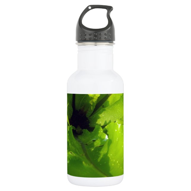 Green_Passion_Drops,_ 532 Ml Water Bottle (Front)