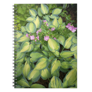 Green Passion Flower Botanical Notebook Tropical