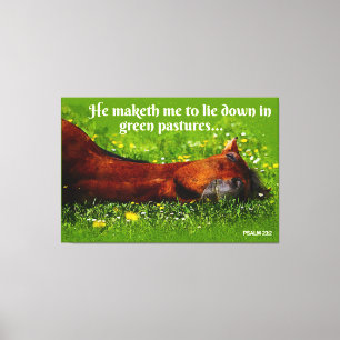 Green Pastures Canvas Print