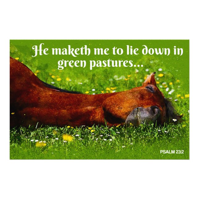 Green Pastures  Photo Print (Front)