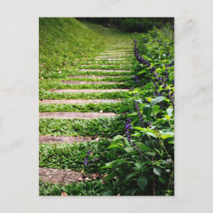 Green Path Postcard
