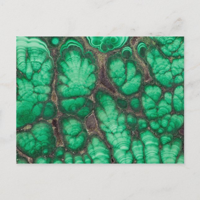 Green Patterned Malachite Postcard (Front)