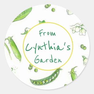 Green Pea Pods Vegetable From The Garden Of  Classic Round Sticker