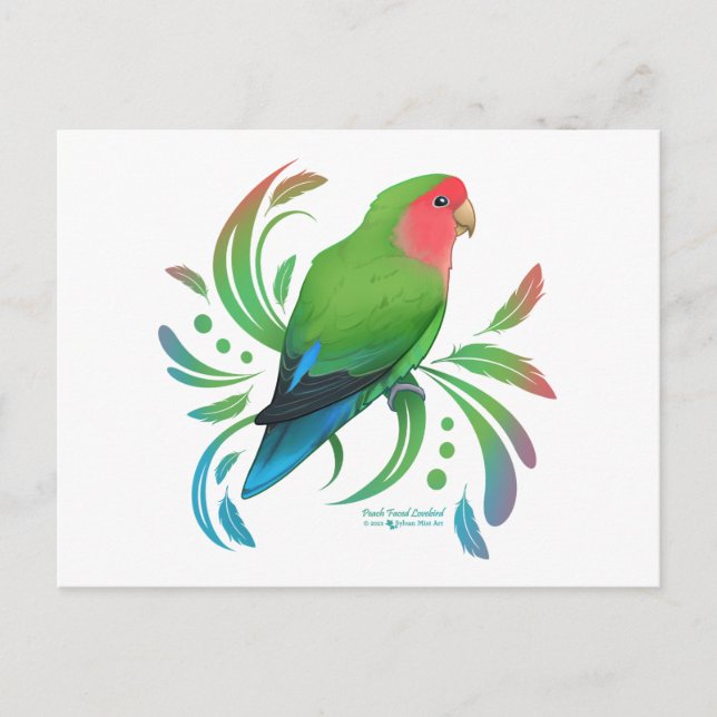 Green Peach Faced Lovebird Postcard (Front)