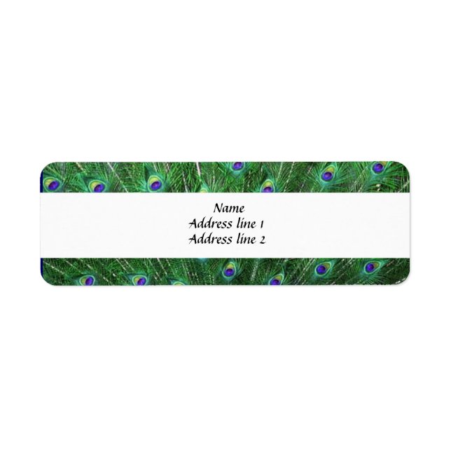 Green Peacock Feather Address Labels (Front)