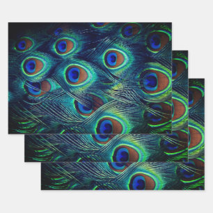 Green Peacock Feathers Collection Wrapping Paper Sheet