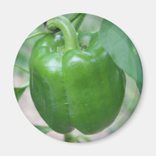 Green Pepper Magnet