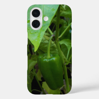Green Peppers iPhone 16 Case