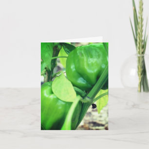 Green Peppers Garden Nature Note Card