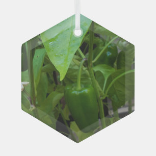 Green Peppers Glass Tree Decoration