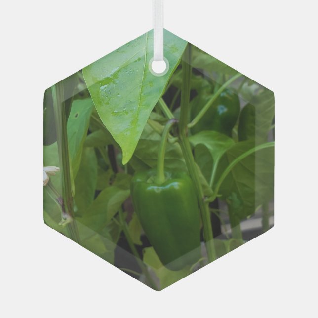 Green Peppers Glass Tree Decoration (Front)