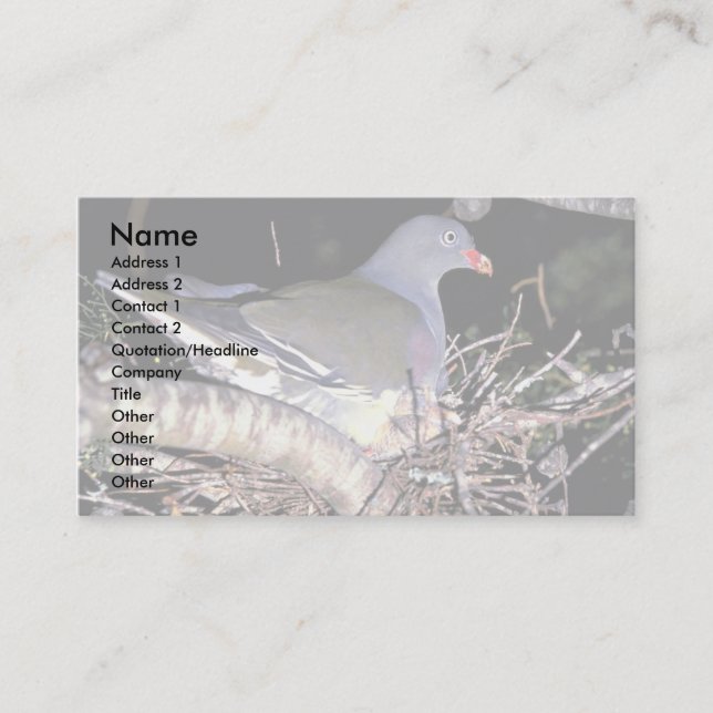 Green Pigeon Business Card (Front)