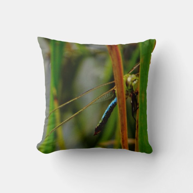 green pillow blue  dragonfly, green eyes (Front)