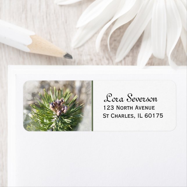 Green Pine Tree Branch Return Address Label (Insitu)