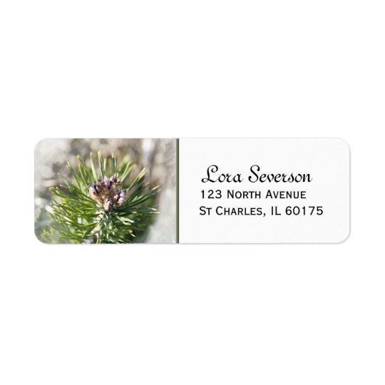 Green Pine Tree Branch Return Address Return Address Label