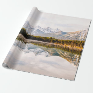 GREEN PINE TREES BESIDE BODY OF WATER DURING DAYTI WRAPPING PAPER