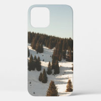 GREEN PINE TREES