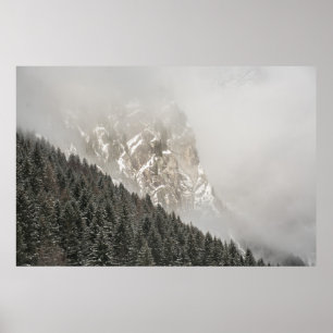 GREEN PINE TREES POSTER