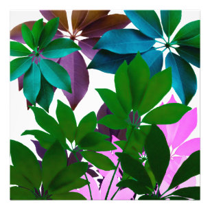 Green & Pink Leaves Professional Photo Paper Print