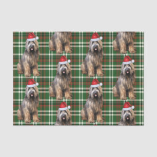Green Plaid Briard Shepherd Dog Lover Holiday Tissue Paper