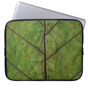 Green plant leaf close-up photography laptop sleeve