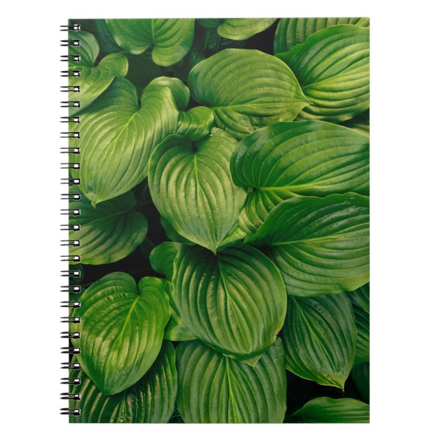 Green plant notebook (Front)