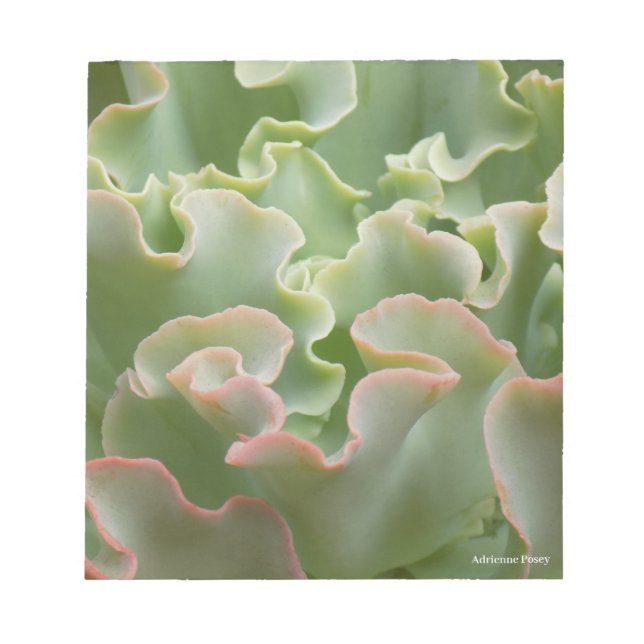 Green Plant Notepad (Front)