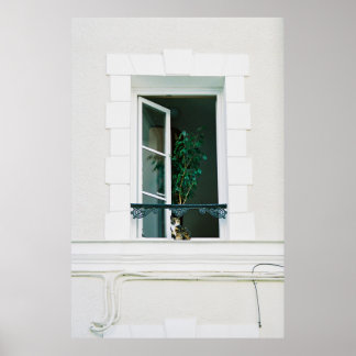 GREEN PLANT ON WHITE WINDOW POSTER