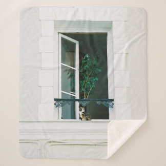 GREEN PLANT ON WHITE WINDOW SHERPA BLANKET