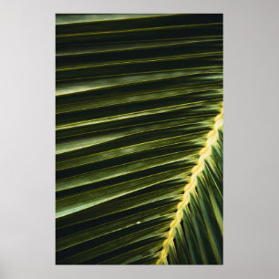 Green plant poster