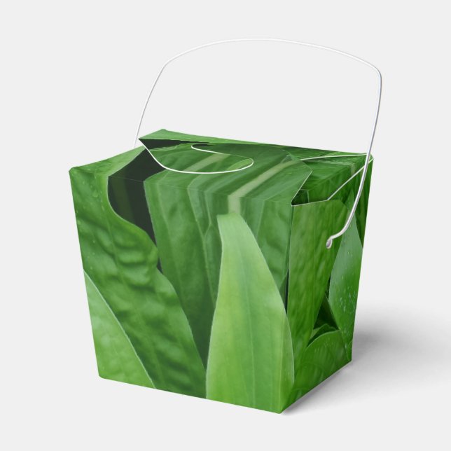 Green Plant Take Out Favour Box (Front Side)
