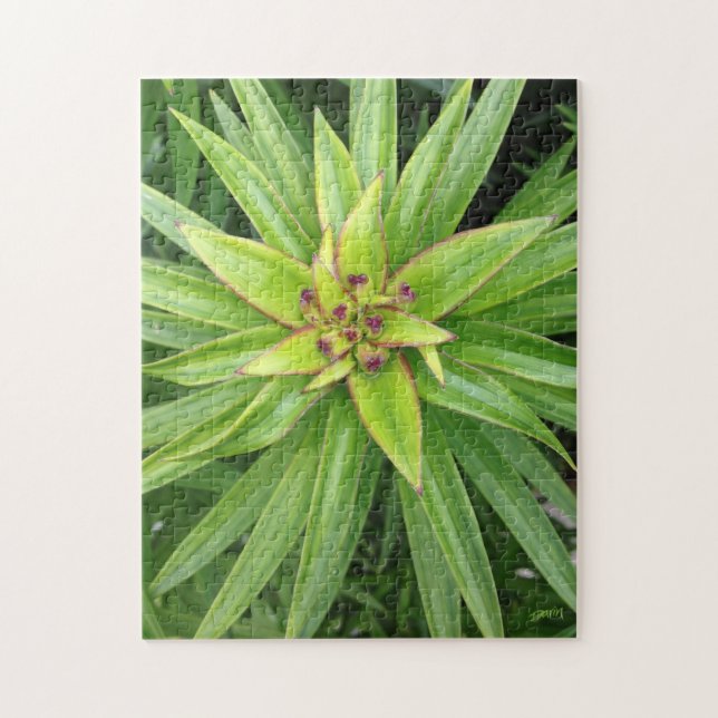 Green Pointed-Leaf Plant Puzzle by Darin Jones (Vertical)