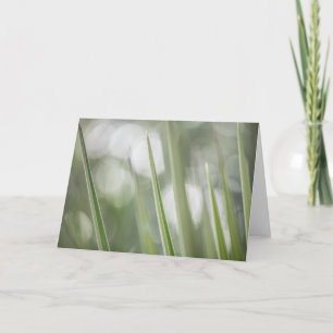 Green pointy Plant Nature Photo Card