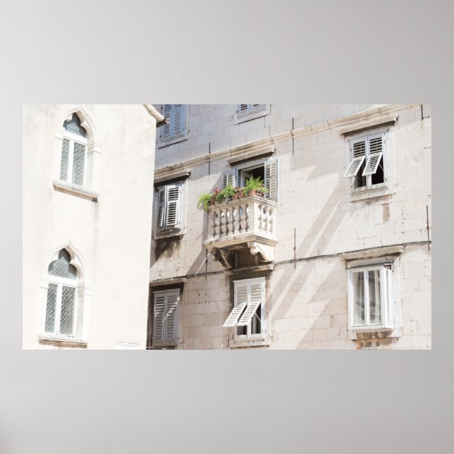 GREEN POTTED PLANT ON BROWN CONCRETE HOUSE BALCONY POSTER (Front)