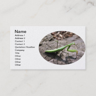 Green Preying Mantis on a Rock Business Card