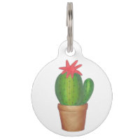 Green Prickly Cactus Flower Potted Plant Succulent