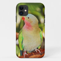 Green princess parakeet print