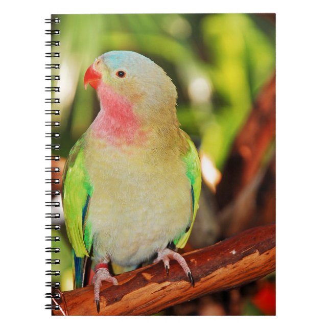 Green princess parakeet print notebook (Front)