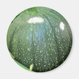 Green Pumpkin Magnet