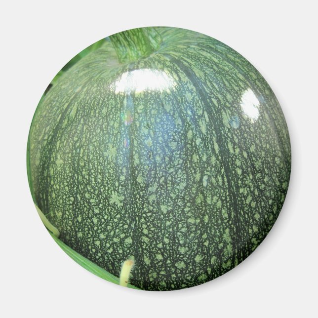 Green Pumpkin Magnet (Front)