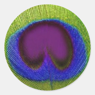 Green Purple Blue Peacock Feather Stickers / Seals