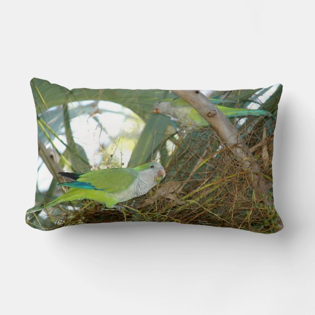 Green quaker parrot birds Pillow (Front)