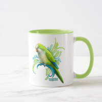 Green Quaker Parrot