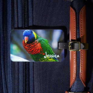 Green Red Blue Lorikeet Bird Custom Name Script Luggage Tag