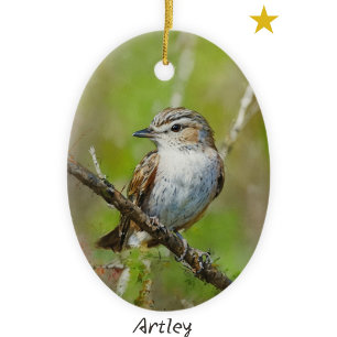 Green Red Eyed Vireo Bird Painting Year Christmas Ceramic Ornament