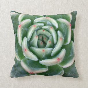 Green Red Tipped Succulent Cushion
