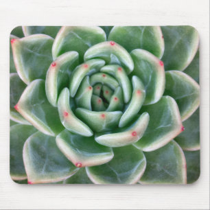 Green Red Tipped Succulent Mouse Pad